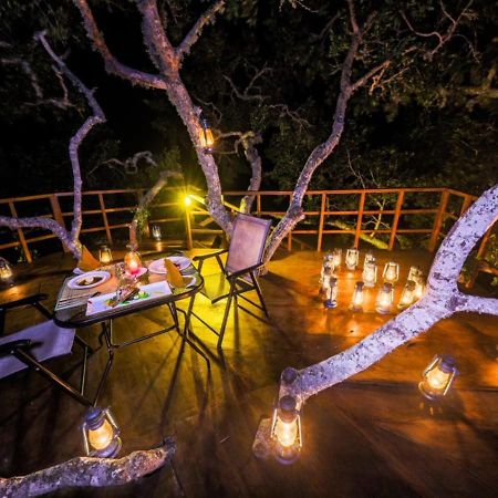 Tribe Yala - Luxury Camping מראה חיצוני תמונה
