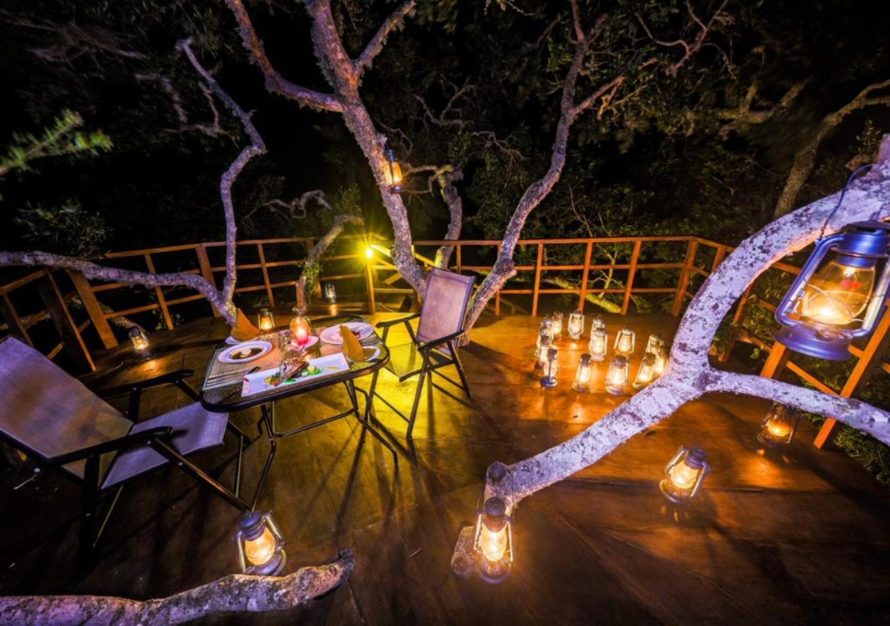 Tribe Yala - Luxury Camping מראה חיצוני תמונה